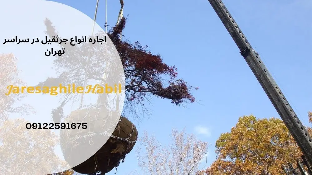 جابجایی درخت با جرثقیل